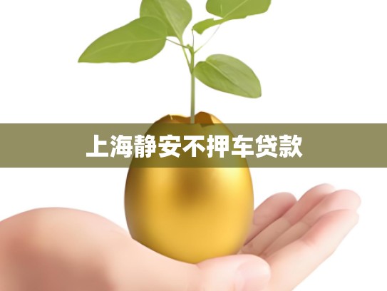 上海静安不押车贷款