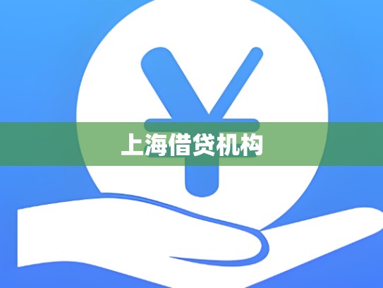上海借贷机构