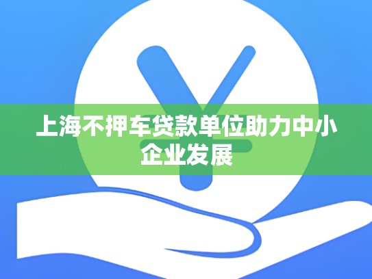 上海不押车贷款单位助力中小企业发展