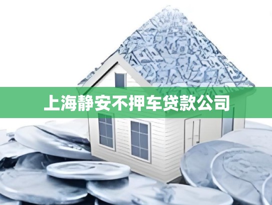 上海静安不押车贷款公司