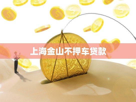 上海金山不押车贷款
