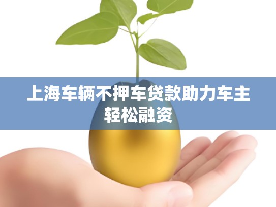 上海车辆不押车贷款助力车主轻松融资