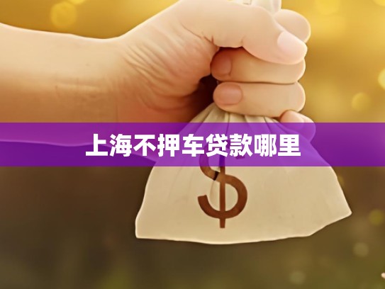 上海不押车贷款哪里