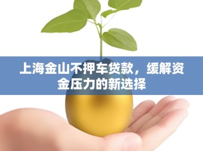上海金山不押车贷款，缓解资金压力的新选择