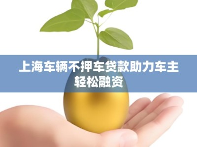 上海车辆不押车贷款助力车主轻松融资