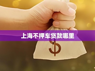 上海不押车贷款哪里