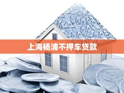 上海杨浦不押车贷款