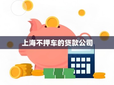 上海不押车的贷款公司