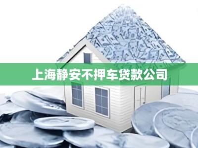 上海静安不押车贷款公司