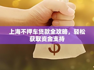 上海不押车贷款全攻略，轻松获取资金支持