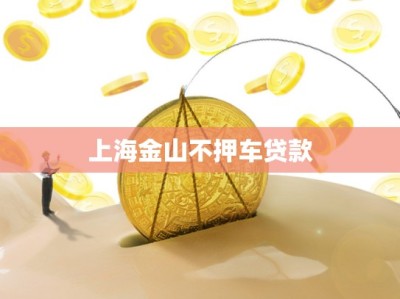 上海金山不押车贷款