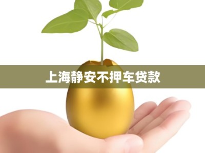 上海静安不押车贷款