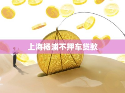 上海杨浦不押车贷款